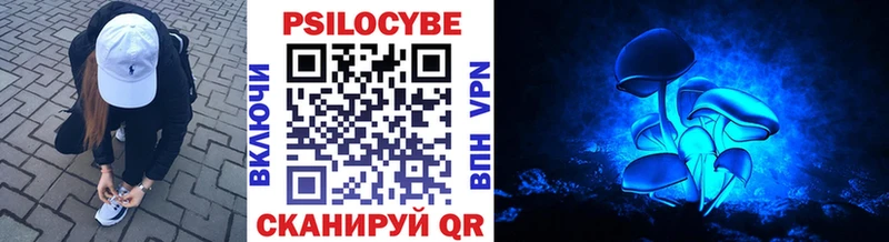 цены   мега tor  Псилоцибиновые грибы мицелий  Советский 